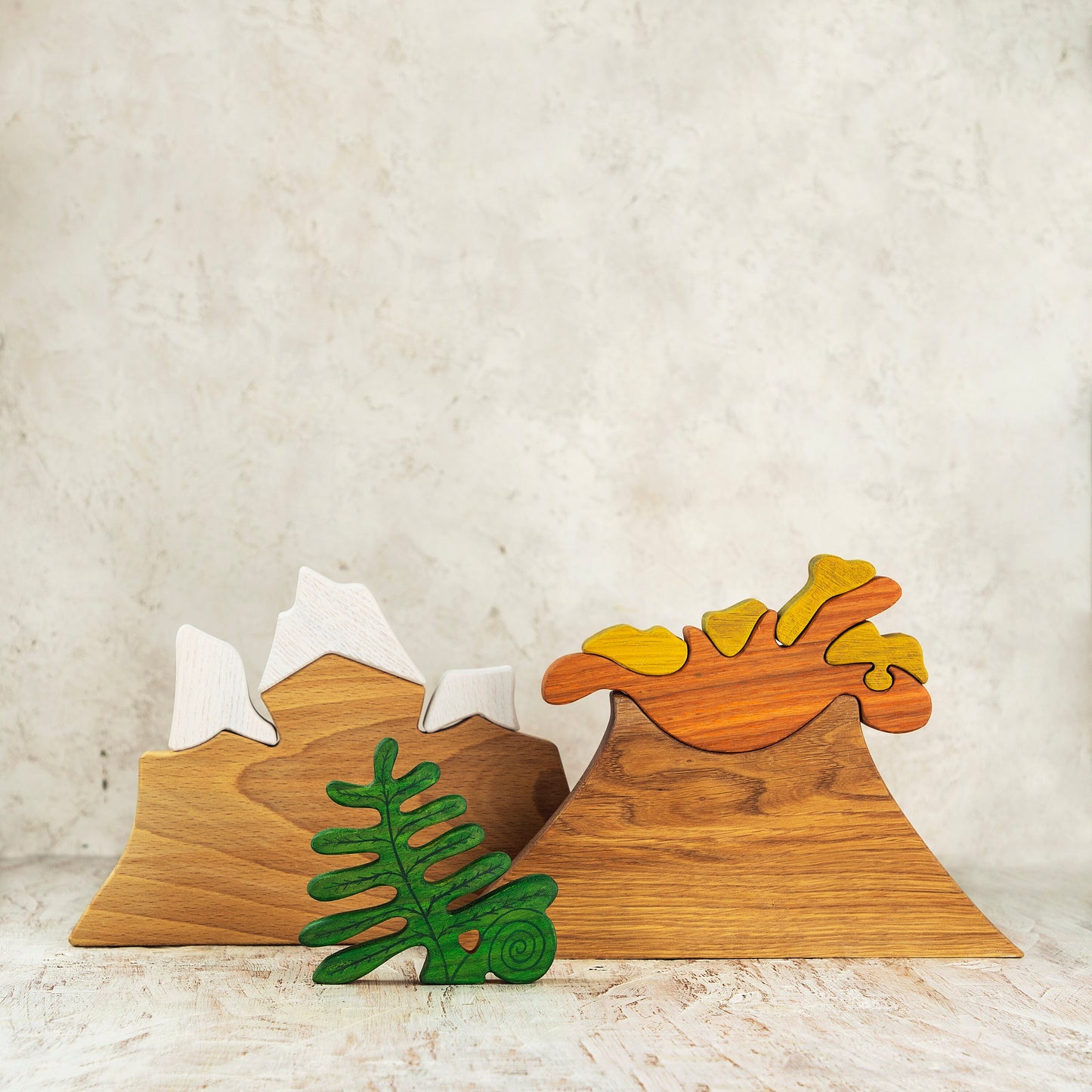 Wooden Fern Toy