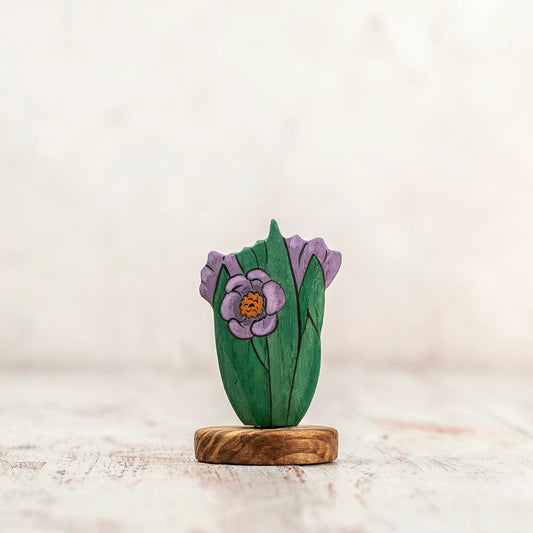 Wooden Crocus Toy