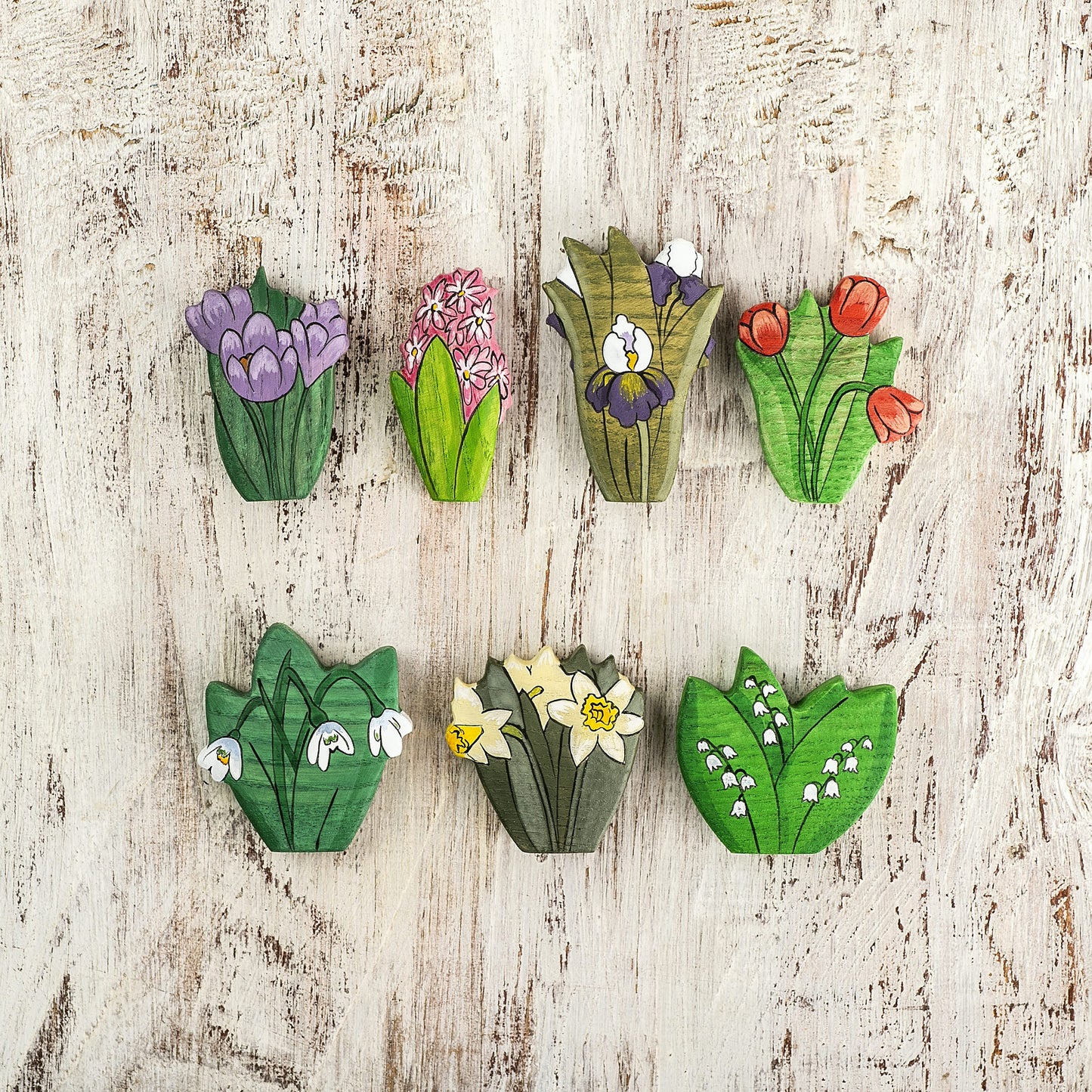Wooden Spring Flowers Set
