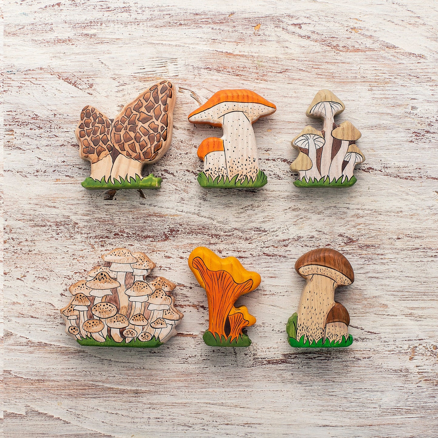 Wooden Mushroom Sets