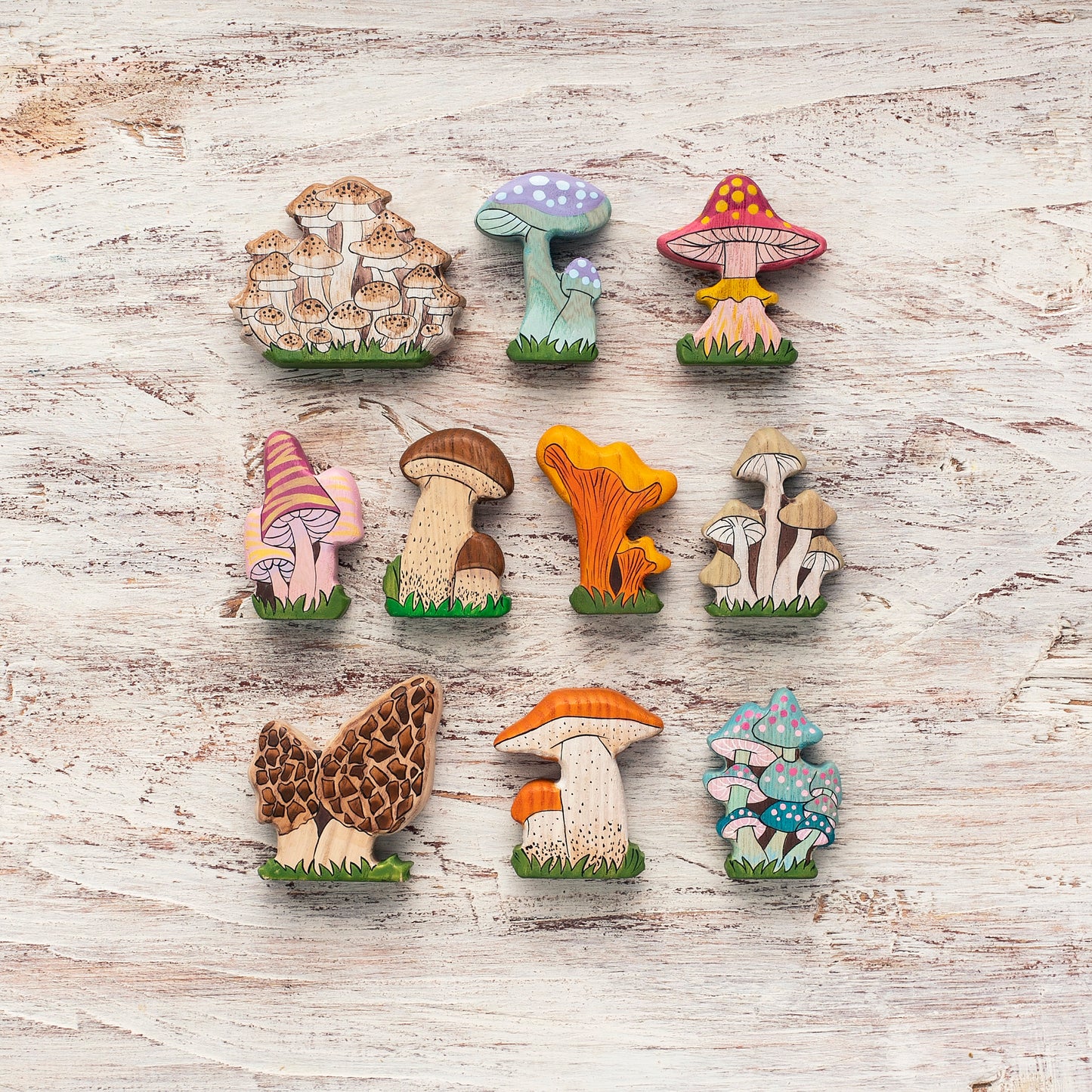 Wooden Mushroom Sets
