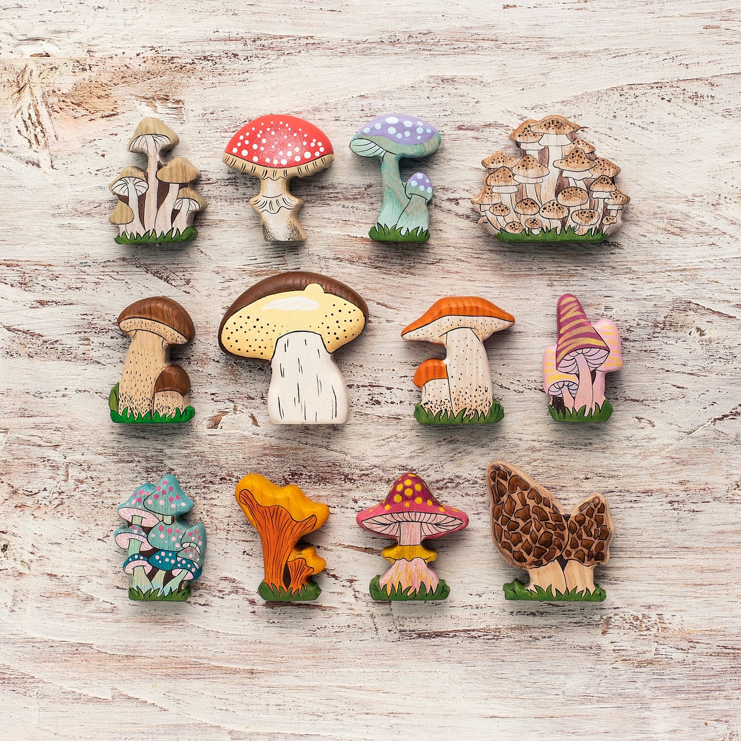 Wooden Mushroom Sets